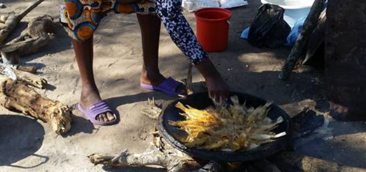 Phuza Market - Utshwayelo Kosi Mouth Lodge & Camp