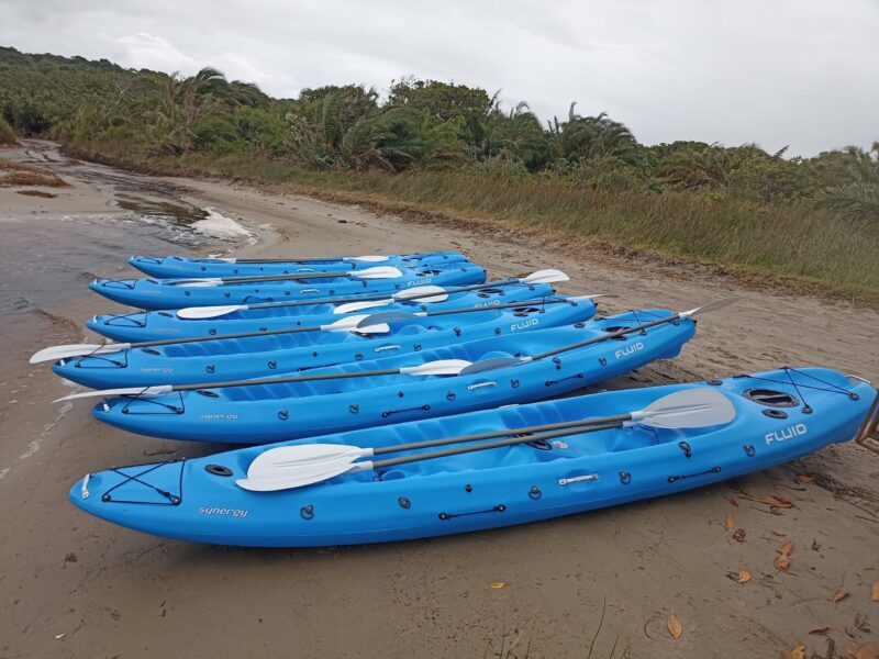Canoe Fleet Canoe Fleet