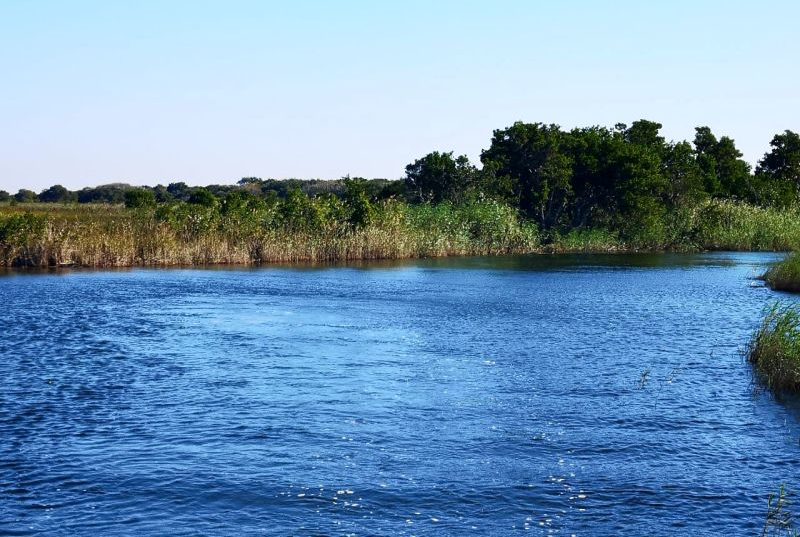 View from the lake boat cruise, Kosi Bay