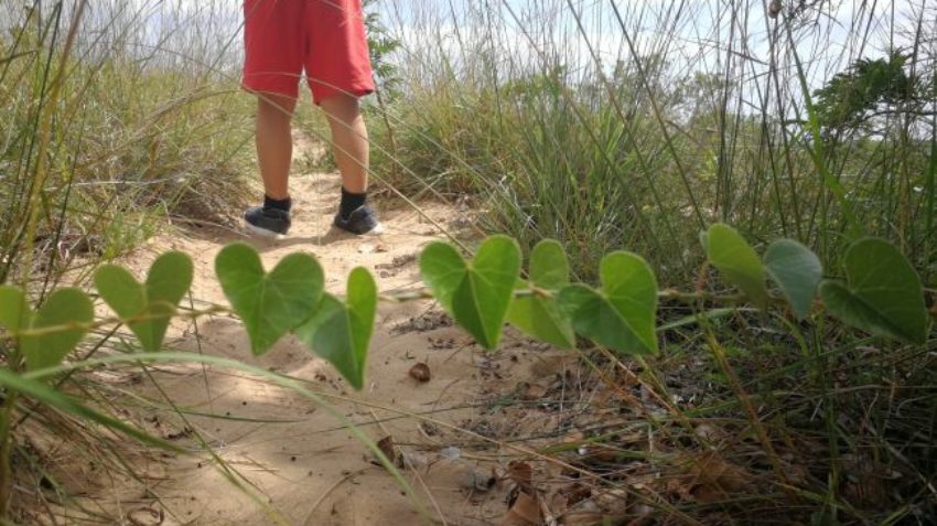 Hiking around Utshwayelo Kosi Mouth Lodge and Camp So much to discover on a hiking trail around Kosi Mouth