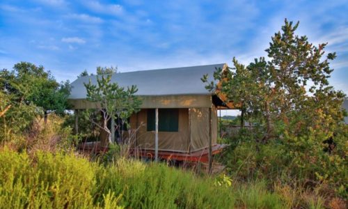 SIde view of tented camp accommodation at Kosi Bay Mouth