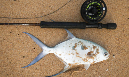 Fly Fishing in Kosi Bay at Utshwayelo Lodge