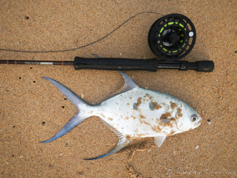 Fly Fishing in Kosi Bay at Utshwayelo Lodge Fly Fishing in Kosi Bay at Utshwayelo Lodge
