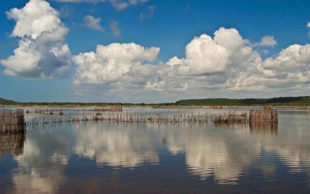 Kosi Bay Fish Traps