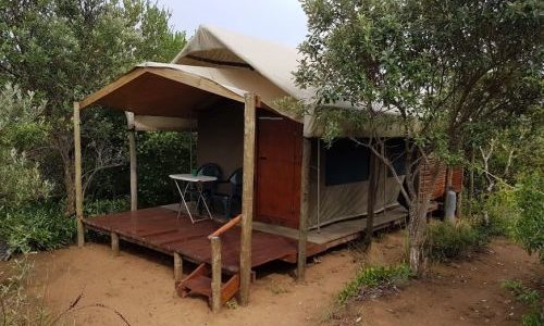 Tented camp accommodation at Utswayelo Lodge