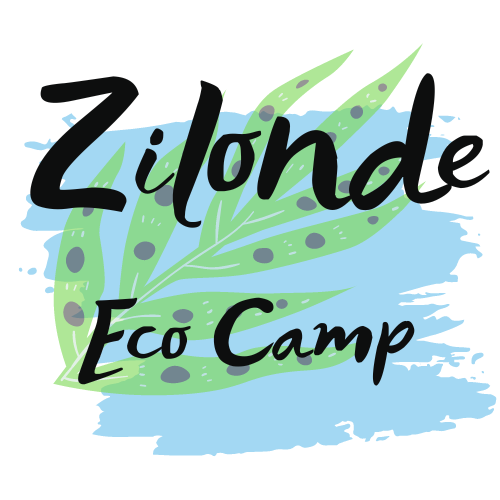 Zilonde LOGO