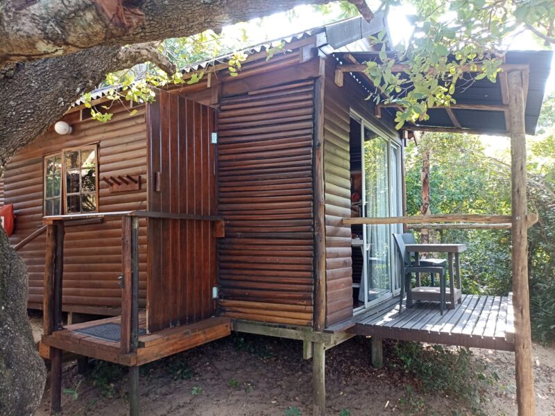 Hippo 6 Exterior